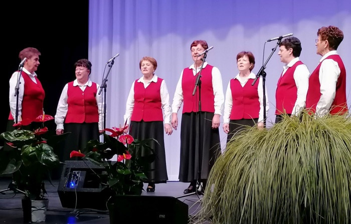 Ljudske pevke Klasje delujejo v okviru KD dr. Ignacija Knobleharja Škocjan na Dolenjskem. Koncert ob Martinovem je njihov tradicionalni.