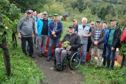 Trgatev Društva vinogradnikov Semič na učnem vrtu dr. Derganca