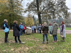 Ko gozd oživi: Dogodek, ki povezuje naravo in ljudi