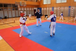 Memorial Franca Kotarja - Regijski karate turnir 