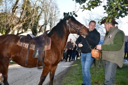 Tradicionalni blagoslov konj v Šmarjeških Toplicah