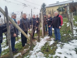 Sveti Vincenc z zimsko rezjo napovedal novo vinogradniško sezono