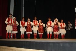 Tudi letos bo na Dolenjskem in v Posavju potekal tradicionalni mednarodni folklorni festival SloFolk. (Foto: arhiv DL/M. L.)