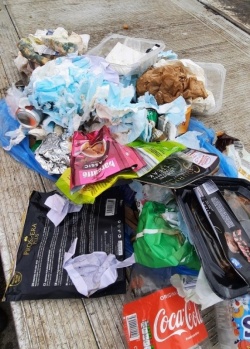 V zabojniku za mešane komunalne odpadke so našli veliko tega, kar vanje ne sodi. (foto: SOU OD)