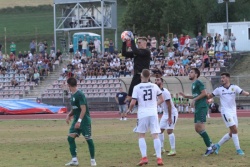 Krka je že v petek s 4:1 odpravila novinca Brinje Grosuplje, pri čemer je Dino Kapitanović dosegel tri gole za Novomeščane. (Foto: R. Nose)