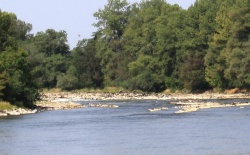 Kjer so drugače savske brzice pri Mostecu, so zdaj suhe skale. (Vse foto: M. L.)