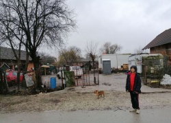 Romsko naselje v Dobruški vasi (Foto: arhiv DL)