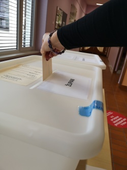 Do 11. ure 12-odstotna volilna udeležba; visoka v Krškem