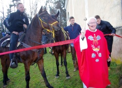 Blagoslov konj in konjenikov je opravil g. Anton Trpin.