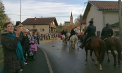 Obiskovalcev, ljubiteljev konj, se je trlo - tako v Šentjerneju kot v Dolenji Stari vasi.