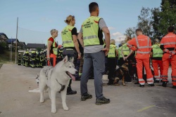 V vaji je sodelovala tudi enota reševalnih psov. (Foto: Nika Judež)