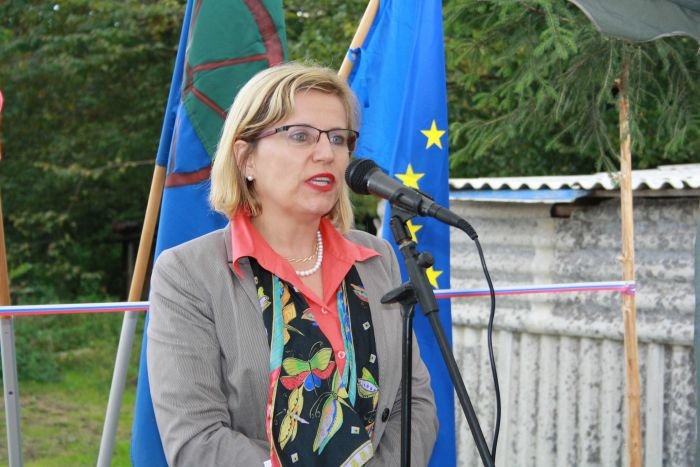 Marjeta Ferjan Istanič, ministrtvo za delo