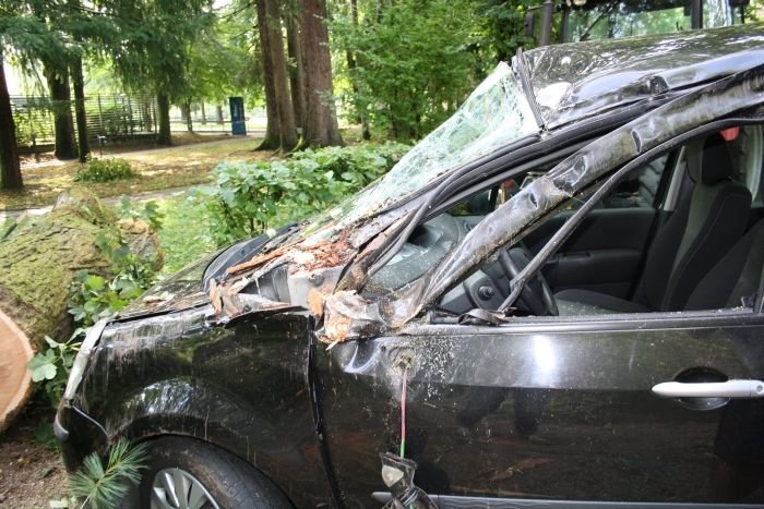 Na parkirišču zdravilišča v Dolenjskih Toplicah so podrta drevesa poškodovala pet vozil.