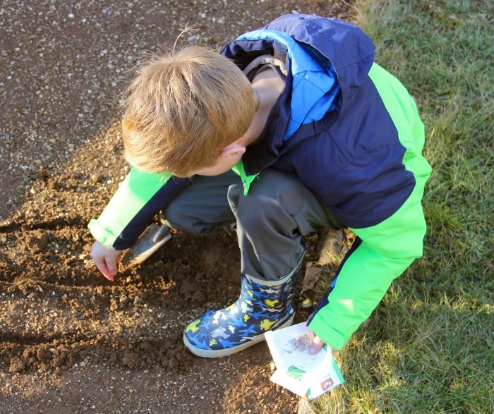 Otroci s pridelanimi eko semeni spodbujajo samooskrbo.
