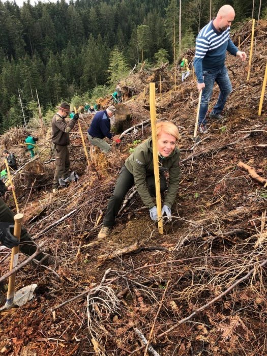 Med prostovoljci na Lovrencu na Pohorju je bila tudi ministrica za kmetijstvo, gozdarstvo in prehrano Aleksandra Pivec z ekipo. (Foto: SiDG)