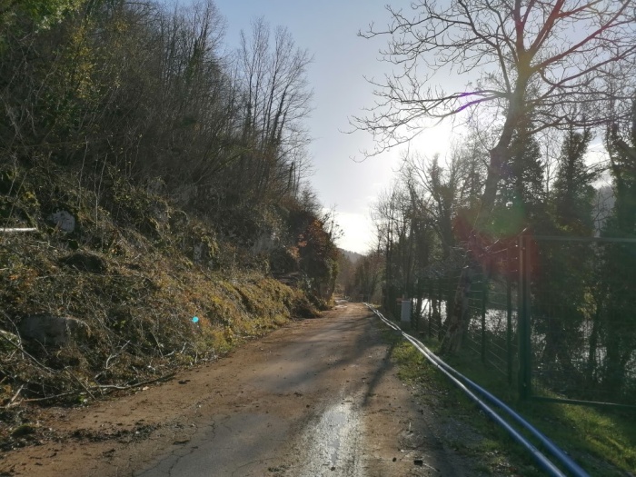 Cesta ob Kolpi (Foto Renata Butala)