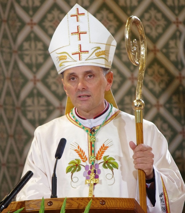 Predsednik Slovenske škofovske konference (SŠK) in novomeški škof Andrej Saje (Foto: arhiv DL: L. M.)