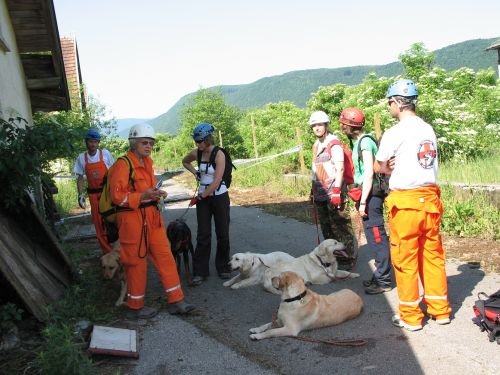 Tudi danes bo na Rihpovcu gotovo dobrodošla pomoč vodnikov reševalnih psov. (Foto: arhiv DL)