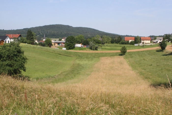 Dolina, ki naj bi jo Komunala zasipala z zemljino, nastalo pri gradbenih delih. (Foto: I. Vidmar)