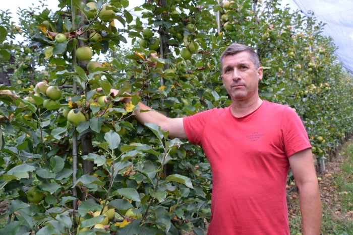 Opuščanje sadovnjakov je skrb vzbujajoče, pravi Mitja Molan, predsednik Sadjarskega društva Artiče. (Foto: D. S.)