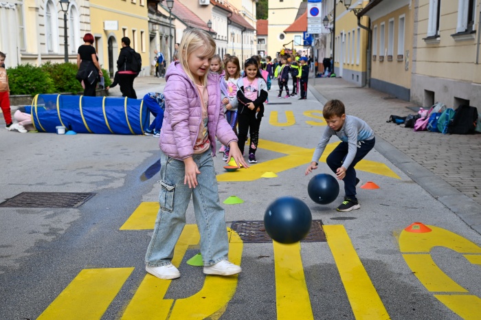 FOTO: Dan brez avtomobila v Krškem