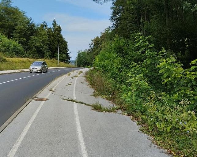 Na vpadnicah v Novo mesto med pločniki in cesto ogromno plevela in trave