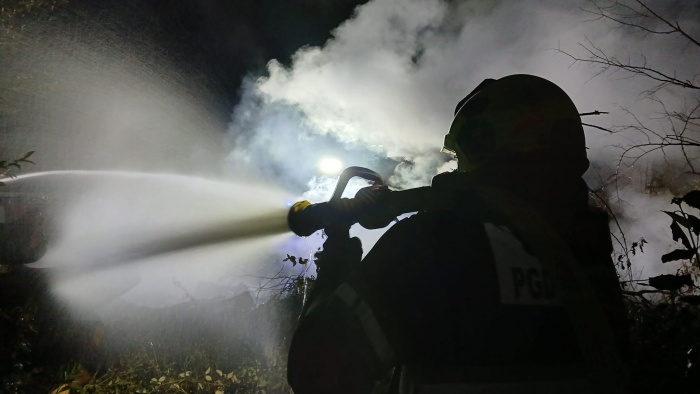 FOTO: Gorel les, pripravljen za sekance