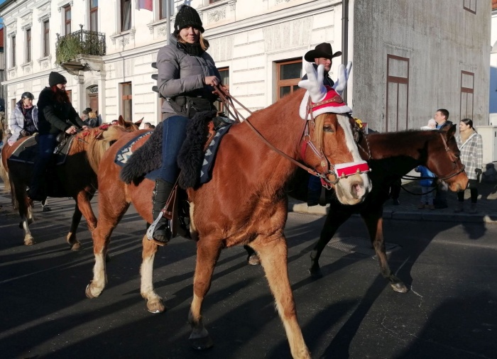 Veliko navdušenja obiskovalcev je požel konj, ozaljšan v "novoletnega jelenčka".