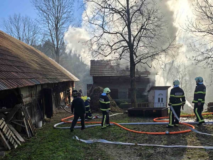 FOTO: Zagorelo na svinjaku, živali rešili