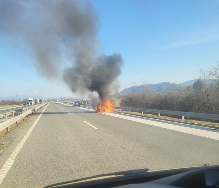 Ukradli za tisoč evrov zamrznjenega mesa