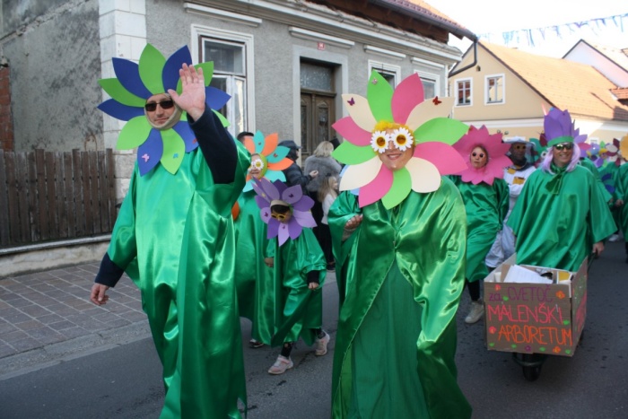 Nam bodo šeme prinesle pomlad? V nedeljo so jo v Kostanjevico na Krki ... (Foto: arhiv DL, M. L.)