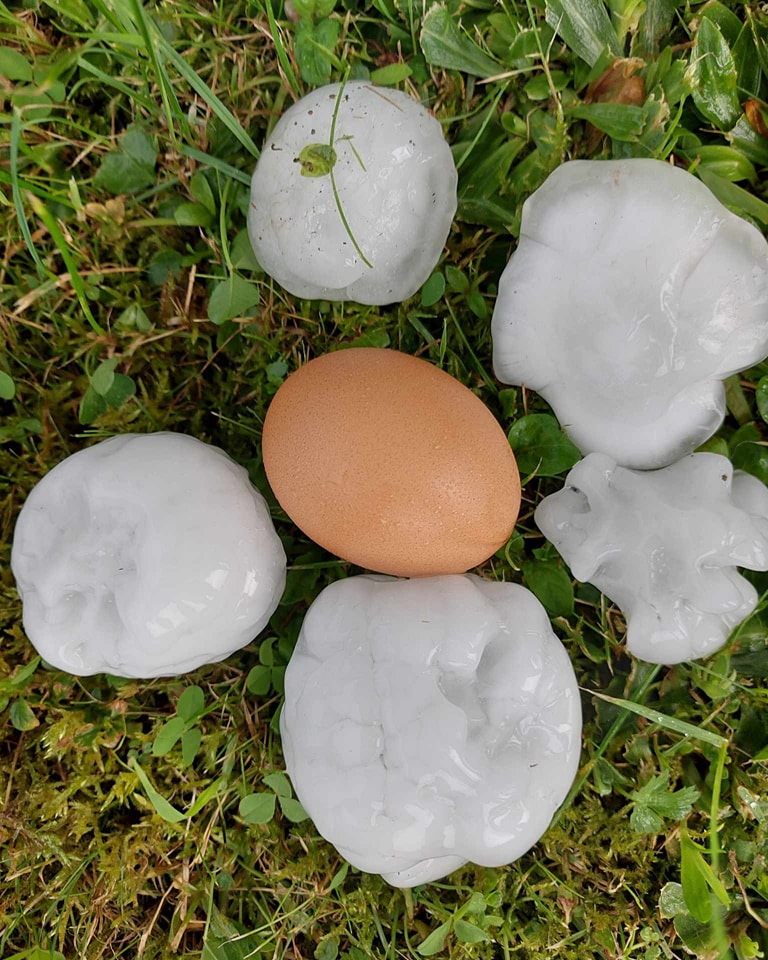 Pavičiči, Bela krajina (neurje.si)