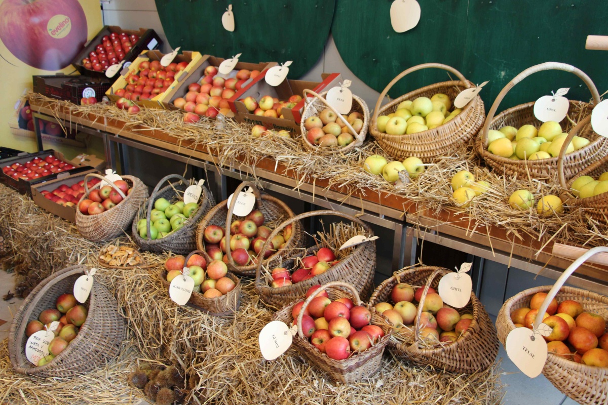 Za razstavo sort jabolk je poskrbel KGZ Novo mesto, ki prikazal tudi žganjekuho ter podal koristne nasvete glede pravilnega skladiščenja in zmanjševanja izgub hrane in odpadkov hrane.