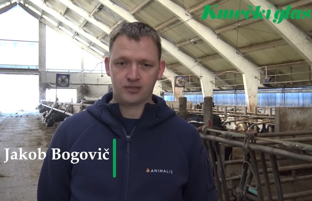Iz predstavitve kandidature Kmetije Bogovič (Foto: zajem zaslonske slike) Videoposnetek na ogled spodaj pod tekstom.