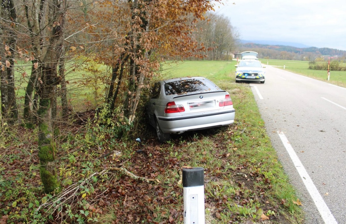 FOTO: Trpela le pločevina