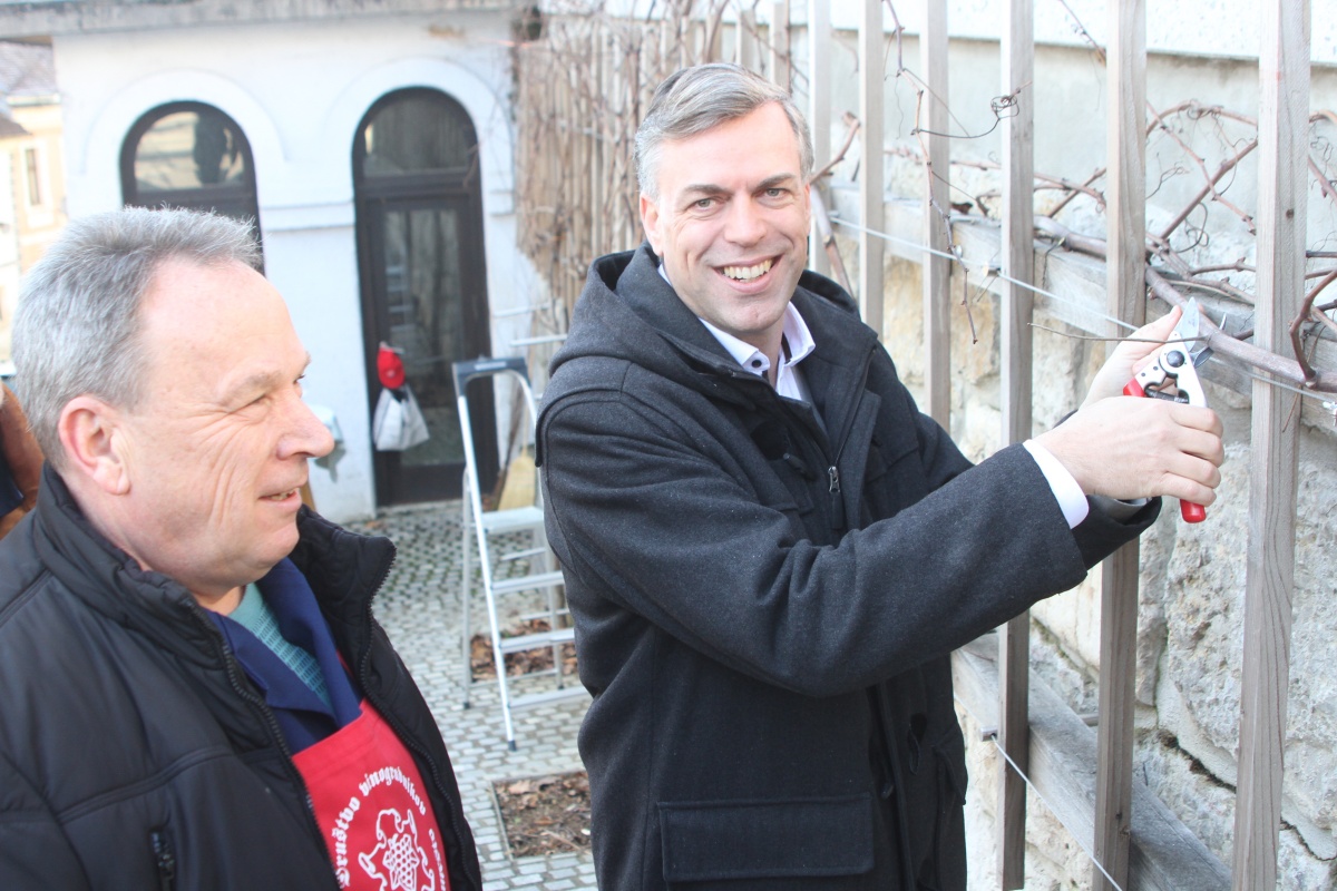 Prvi rez na mestni trti je po navodilih mestnega viničarja Petra Koreneta naredil župan Gregor Macedoni. (Foto: I. Vidmar)