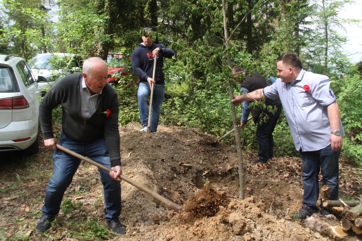 Mirnski župan Dušan Skerbiš (spredaj z lopato) in najemnik koče Tadej Rakar sta pred dvema letoma ob prazniku dela pomagala zasaditi lipo na Debencu. (Foto: R. N., arhiv DL)