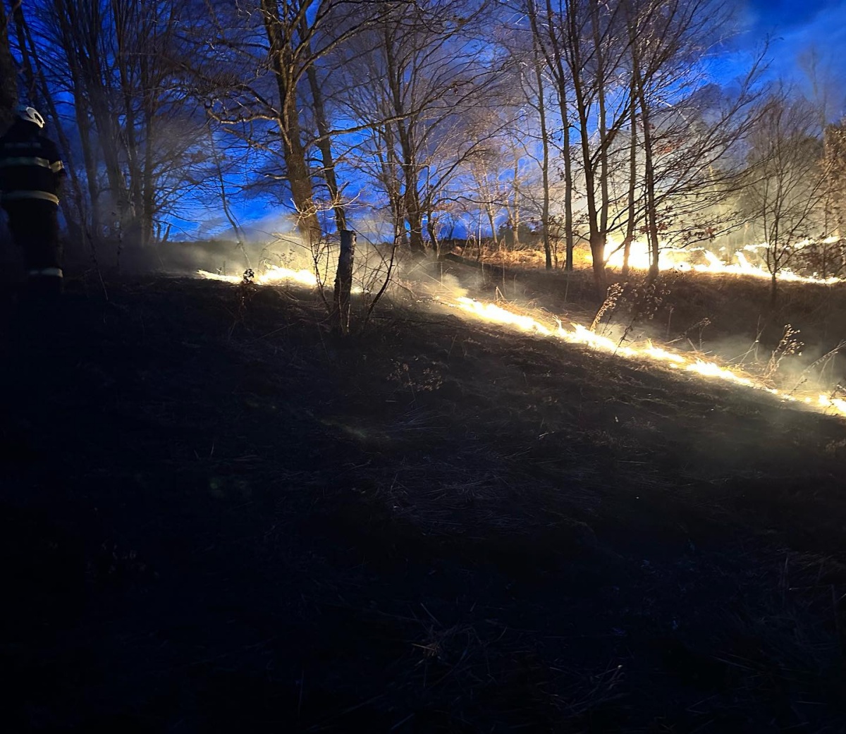 FOTO: Gorelo na Poganškem vrhu