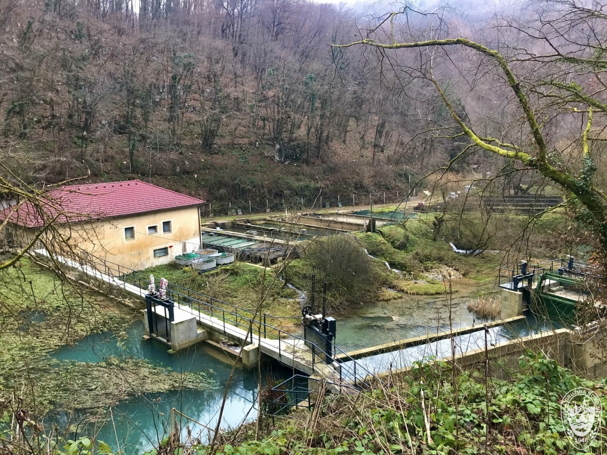 Ribogojnica Luknja pri Prečni, od koder so ukradli postrvi - arhivska slika (Foto: Ribiška družina Novo mesto)