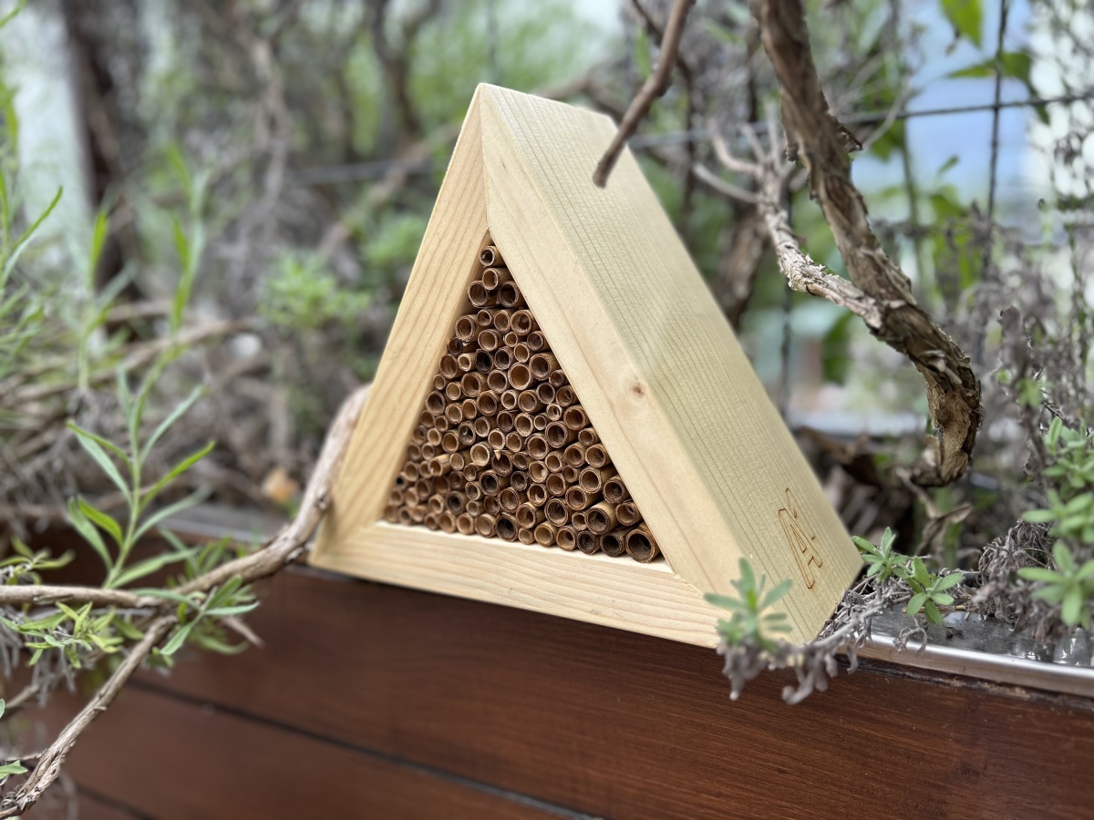 Po Sloveniji zaživelo 70 hotelov za čebele samotarke