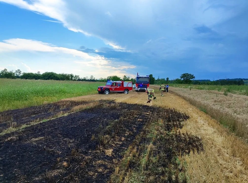 Policisti so prijeli dva mladoletnika, ki naj bi podtaknila ogenj na tem pšeničnem polju. (Foto: PGE Krško)