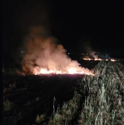 Ogenj na strnišču (Foto: PGE Krško)