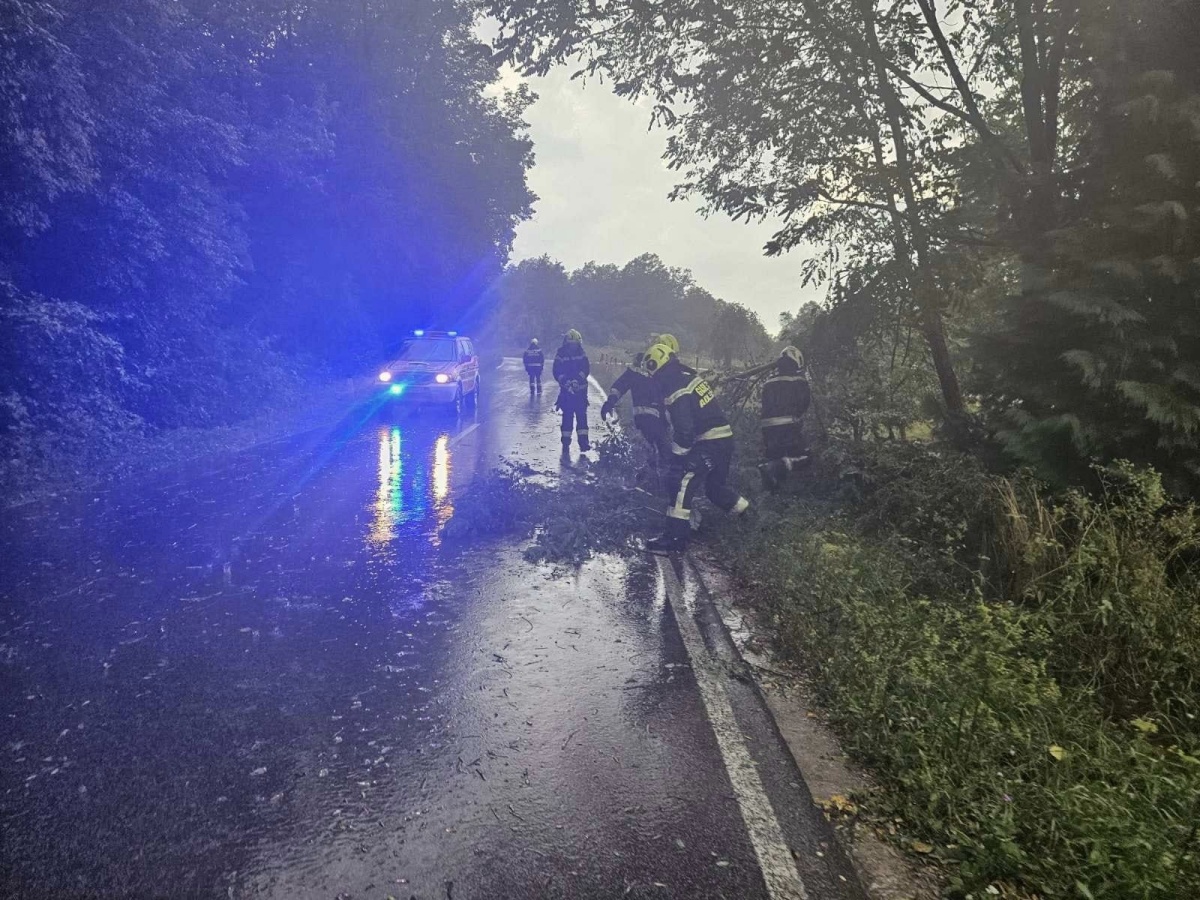 Tako je bilo sinoči. (Foto, tudi spodaj v fotogaleriji: PGD Adlešiči)