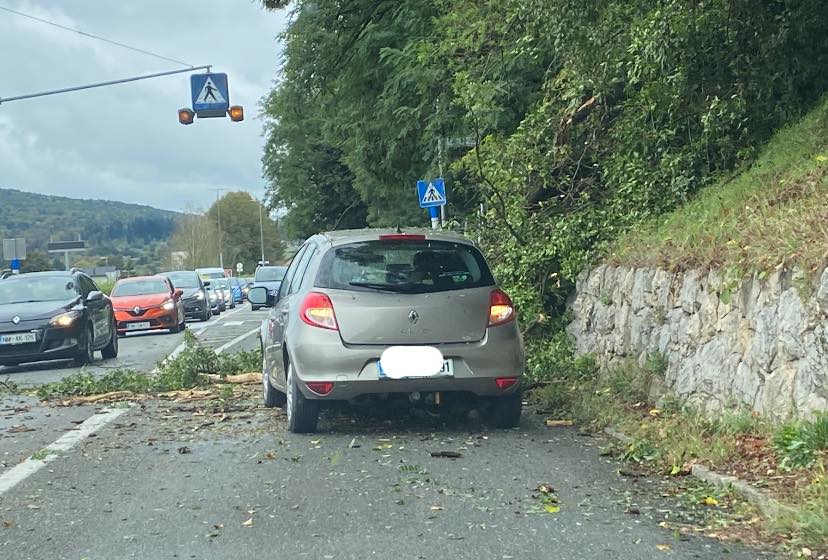 ... ter na Ljubljanski cesti v Novem mestu. (Vse foto: FB PKD)