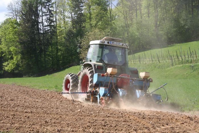 Simbolna slika (Foto: arhiv DL)