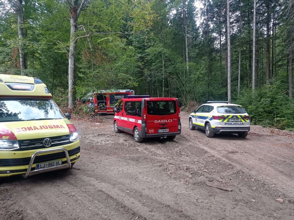 Osebo so naslednji dan našli v gozdu. (Foto: PGD Predgrad)