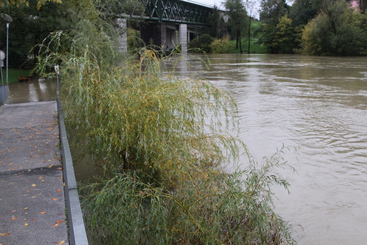 _Novo mesto - Loka (05)