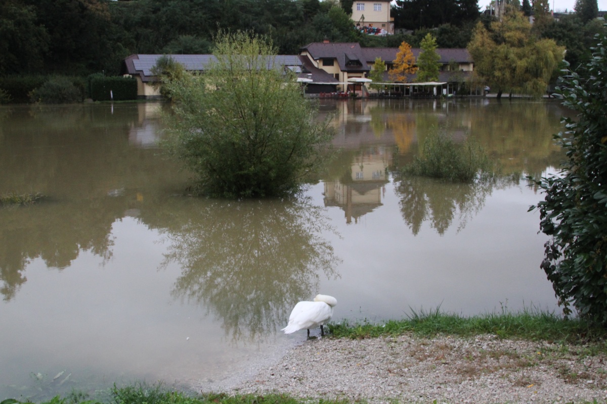 _Novo mesto - Loka (12)