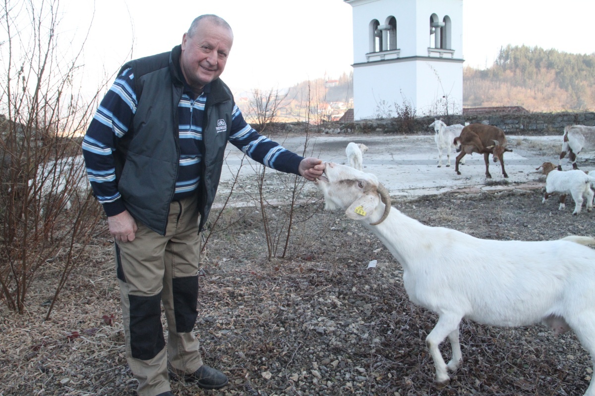 Janez Bregant se je javil, da bo skrbel zanje. Večkrat jim prinese tudi kakšen priboljšek. (Foto: R. N.)