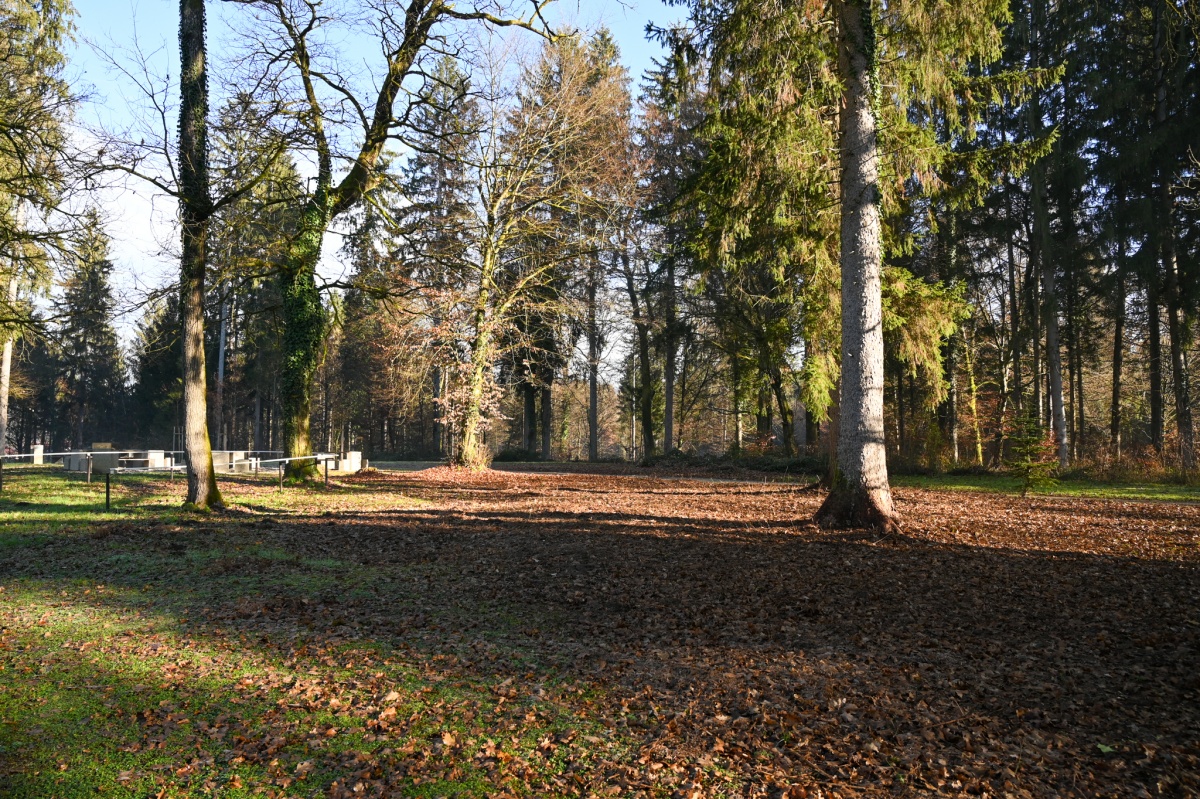 Turistične namestitve bodo v bližini konjeniškega centra. (Foto: MONM)